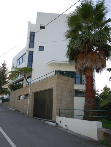 Hotel O Cortico Sever do Vouga Εξωτερικό φωτογραφία
