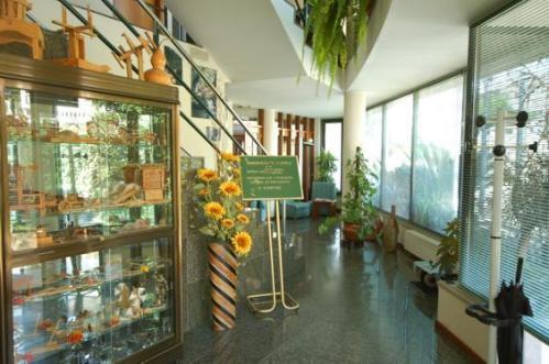 Hotel O Cortico Sever do Vouga Εξωτερικό φωτογραφία